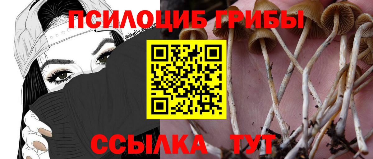 Галлюциногенные грибы Magic Shrooms  Вход с VPN  Фурманов 